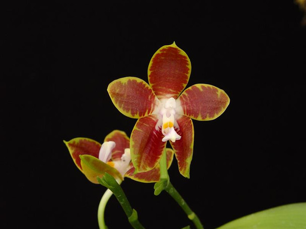 4d5eb405-c0a7-461a-b1d6-3526d8304166