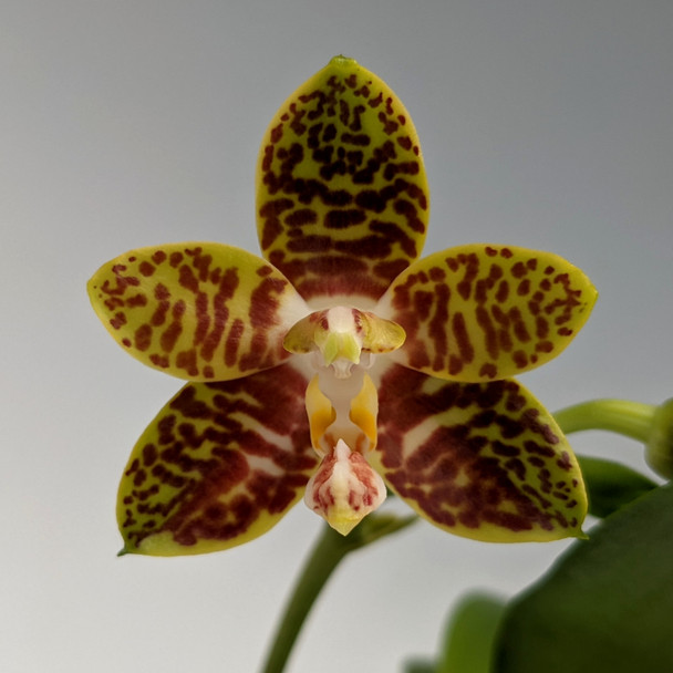 1f804498-60e3-4c30-8d55-a335cd404b95