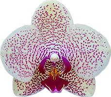 29cd30a3-5b18-44ea-9a8c-7aeefff1b68c