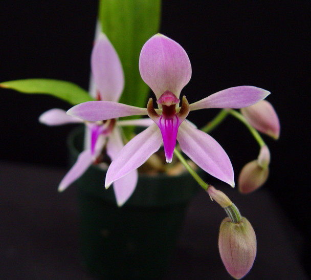 8570995b-d77b-45ce-96a1-4e9bb6db8470