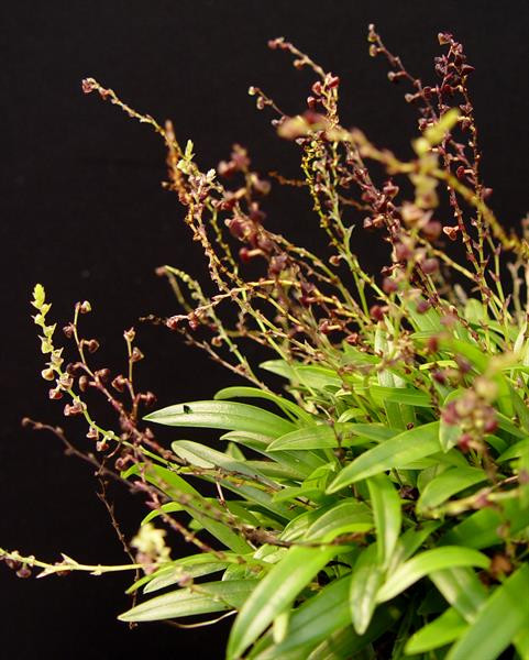 1fc5423d-d099-45f1-be23-0625e6707903