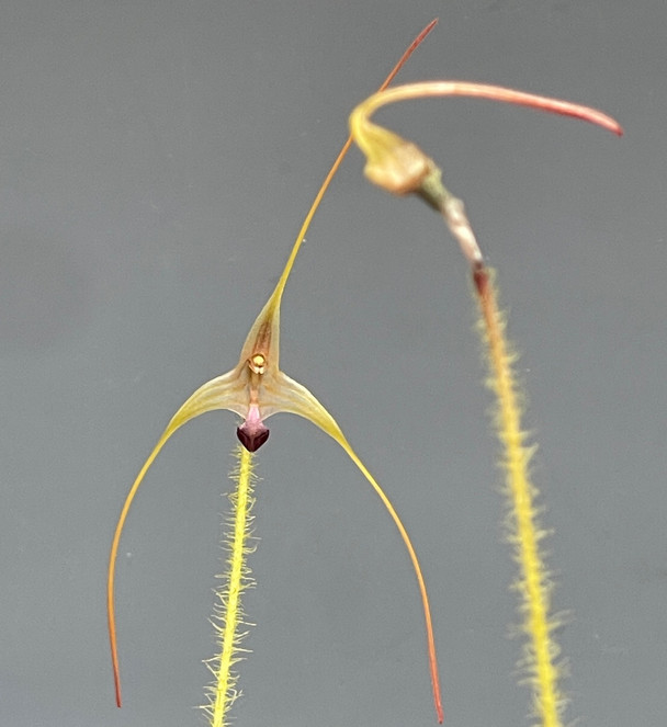 9b210268-7878-4653-9088-cfaef07f5ebc