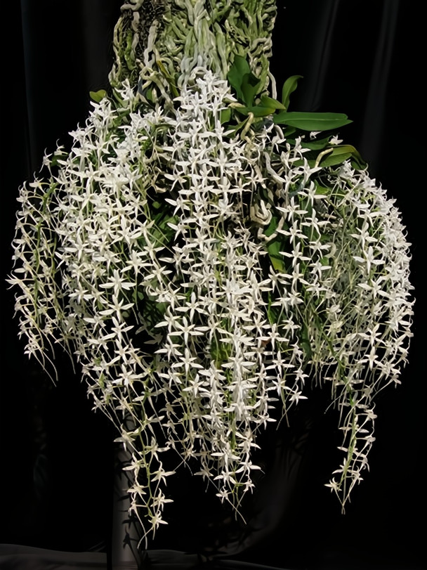 28c54583-45fa-45ce-9d70-30bd8af5183a