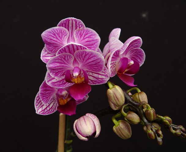 aaac0e89-58af-43c7-8590-d28e6ec55a92