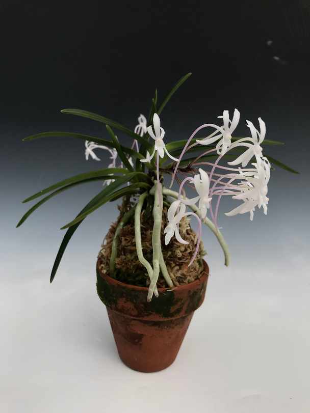 adbf1f13-6af0-491c-ae2b-1c7b5d3f5b63