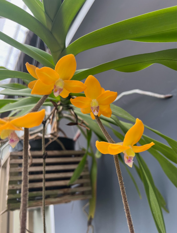 30b367e7-3c3a-4890-9fc7-21916efe3f07