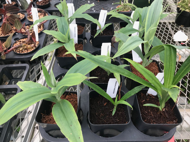 68db45cd-13d0-4ff3-9400-5ce9fce28273