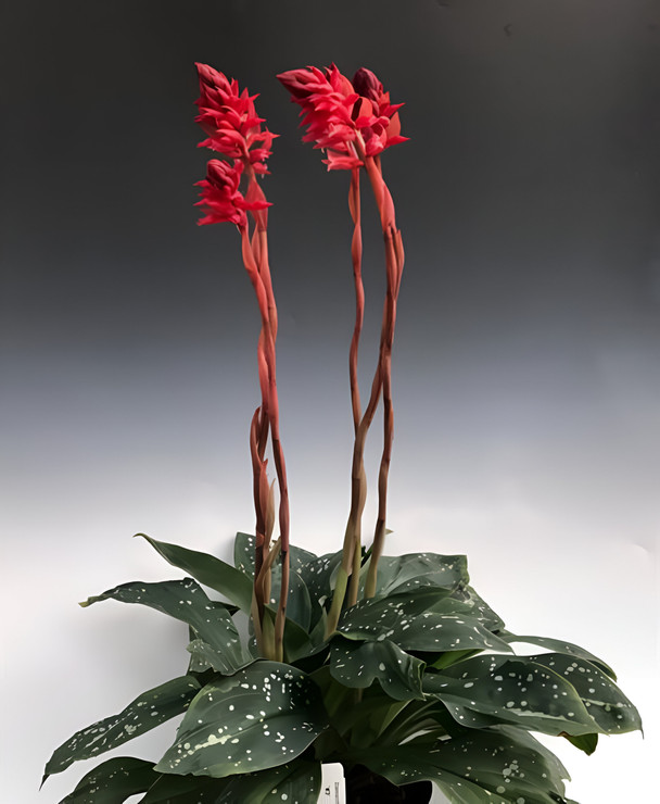 07dffd7d-d6ee-48ba-9343-10cf1615b2af