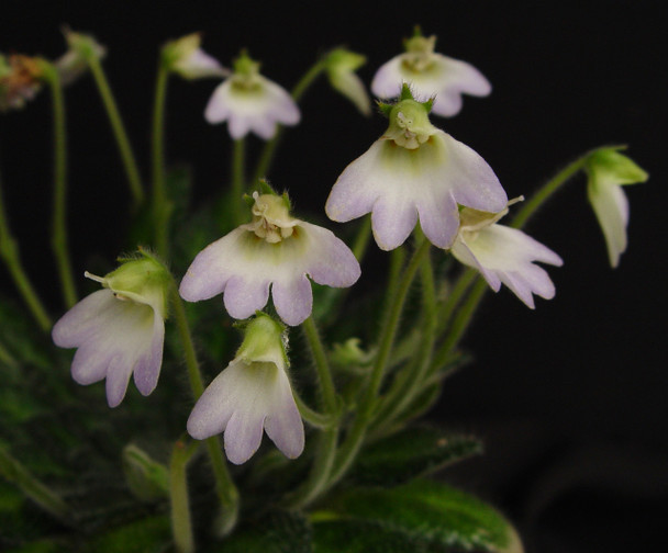 4162b778-30e8-48c0-a491-31cc1fe92e53