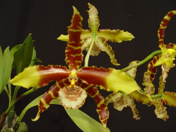 59571d34-fb7b-402e-8a06-4ab16ca444c4