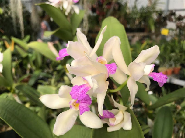 06bcb9f3-3082-49e7-bf2a-393f099e6495