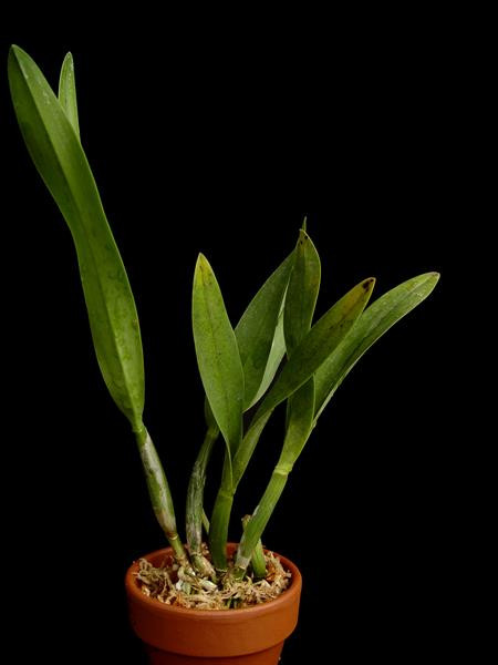 c7056a29-1672-42c0-8a52-f536eb4869e7