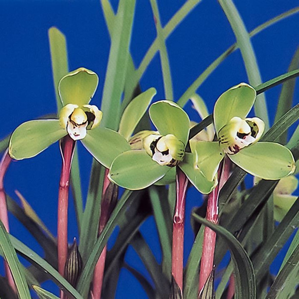 11e45fe5-fe3c-447c-8c41-263e013946f0