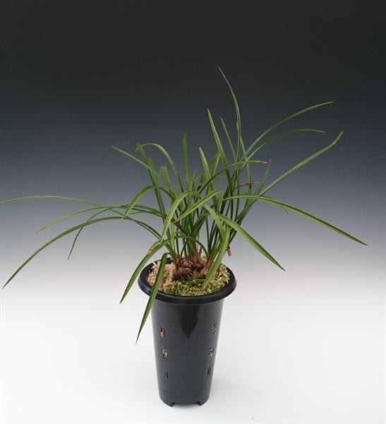 f201aeef-5193-4444-9357-35f9869c6f2a