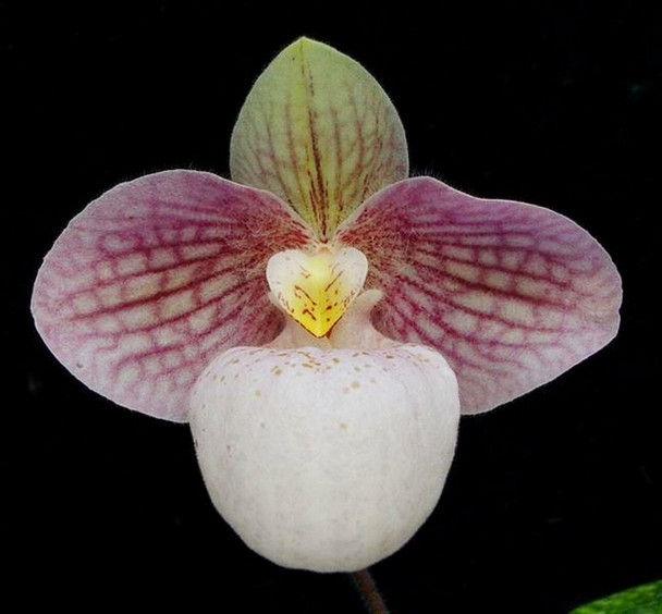 babbfc32-6794-44a1-acc6-ddc5a9a7c54c