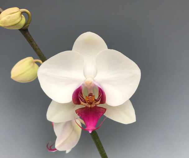 6ce4f405-13b5-47b0-bc3d-000a89144ee7