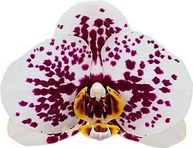 8b6cc598-6be8-42b4-866d-1366c7b12e29