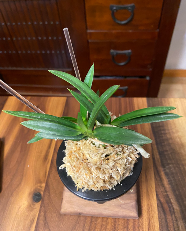 0b50587f-04f1-4176-965d-433175a23cea