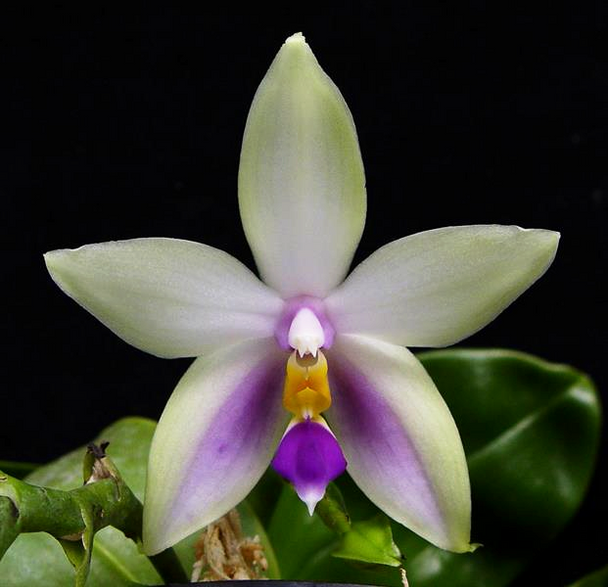 766c8680-8755-45b5-9575-59b316c41349