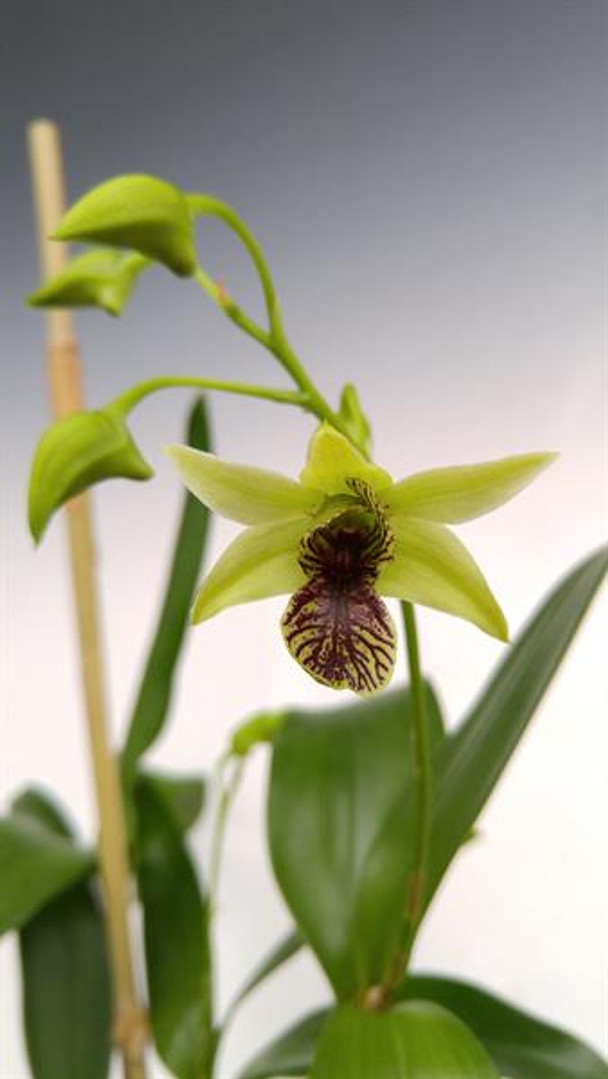 ec77f89f-4fff-4886-90e5-c85a2e44f134