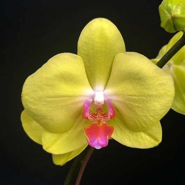 952ab97f-7898-4e0a-84b2-6d7caf7f4c05