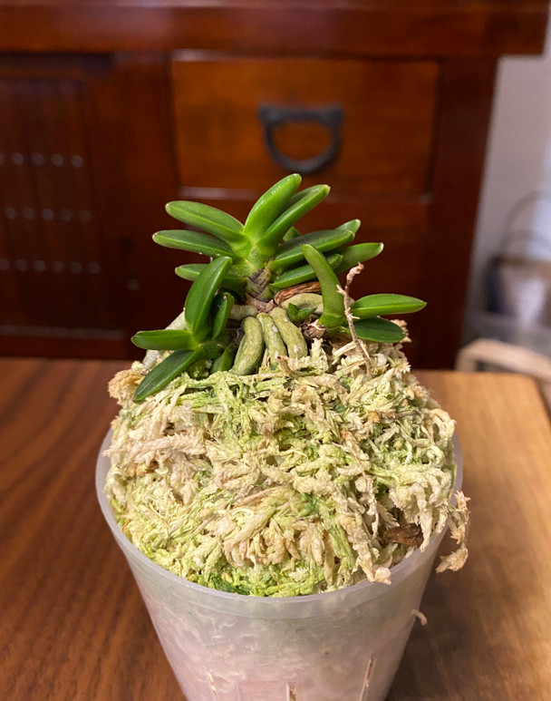 dc934a8e-e216-4758-a6e2-eaf181a95ab2