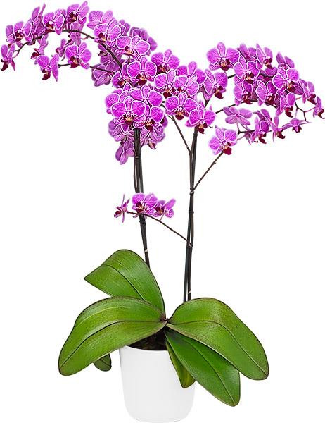 fb678271-9883-4456-b395-f6c86699287e