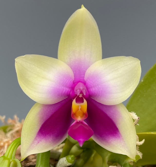 d9fcb2ca-9748-4928-99cb-185e698f8208