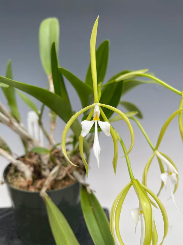 47a17761-81d9-4ed7-8849-8f758cb17e9b