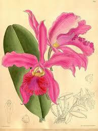 09444202-68bd-4d41-897c-eb36be6a38d1