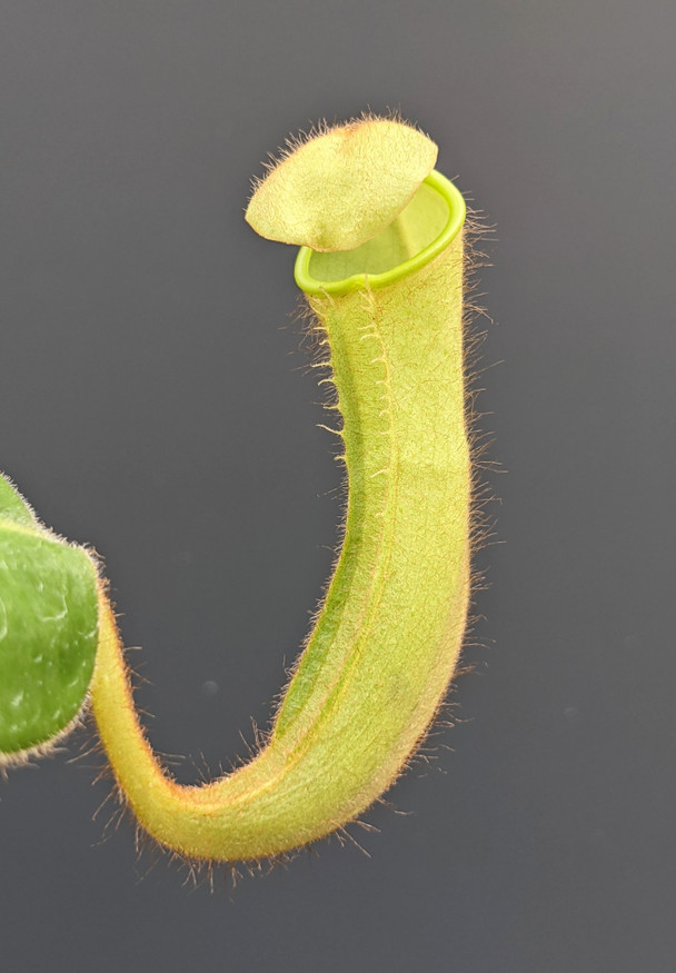 5886e7e5-508a-4dbd-b189-4dd7e6ed9770