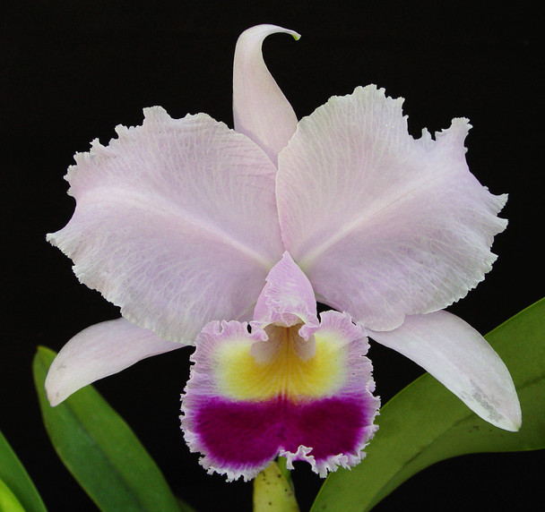 ca05b285-c0b8-4ca8-84f8-deac4b326e03