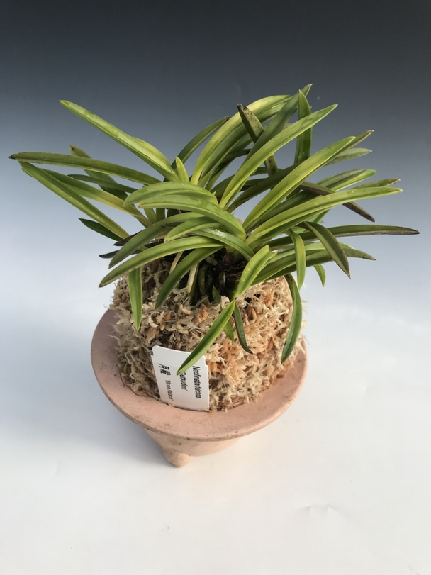 b0b2fa7b-1aa9-44e0-8061-b41cad8c2e8c