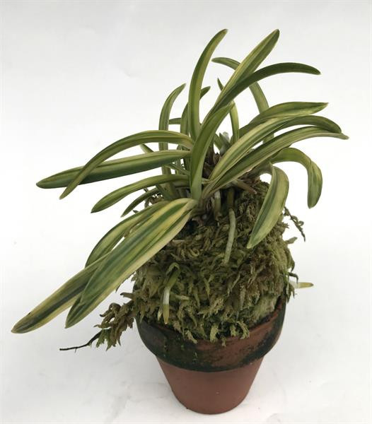 7a3509b0-092c-48c4-bb57-97bbdbc17962