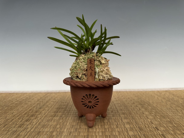 24e3caa0-46a8-4625-85ad-789c14899bf9