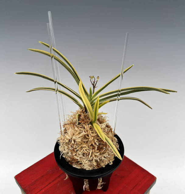 ab73e998-8fbf-4fe4-a10b-d1befb406185