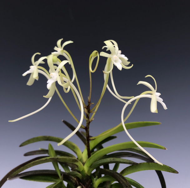 3ad49906-ee26-4784-abbb-4bebafc132d6