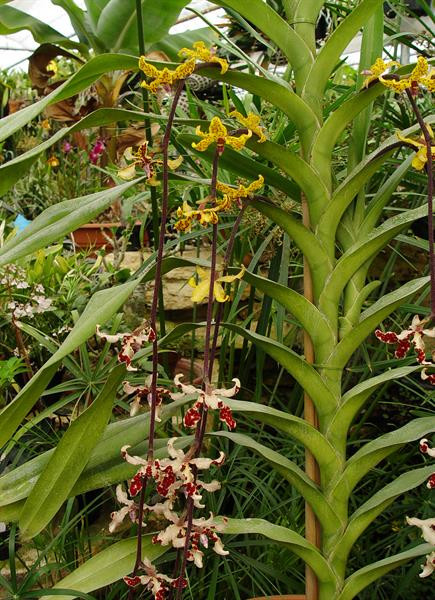 ce57155e-4454-4a34-a50d-31f5c7af4f95