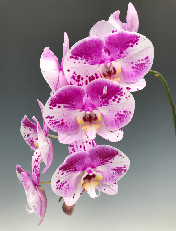 f7770b43-bca9-4ae9-b23a-3735e993d72c