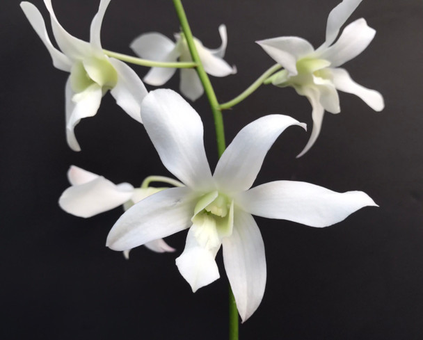 e41ad471-c494-4ff7-bbe7-4b88af61686b