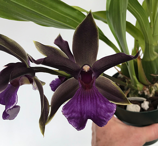 0fc97cf4-239e-406d-a869-9a0a6b368e08