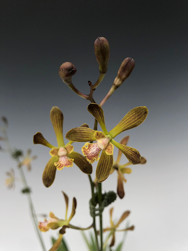 bf901e0e-7fd8-4ee2-9230-74d188348868