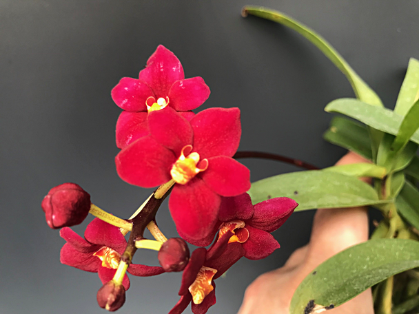 d9ace03e-ab66-4959-985f-393adb1cb2f4