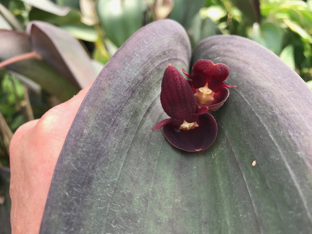 b2fa2ab7-658d-4edd-aa35-37732354a0c7