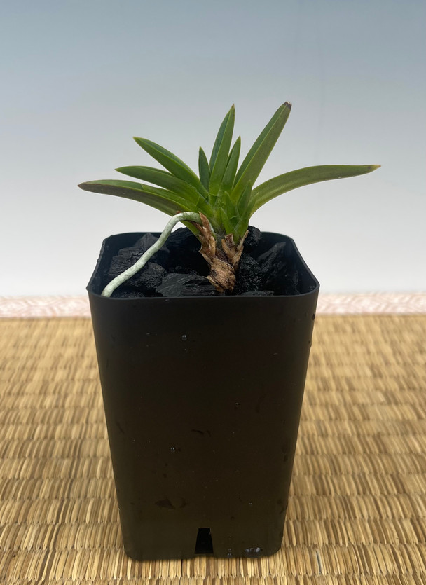 f72d03f2-6ca7-4684-bf4e-d24b8dbfaa29