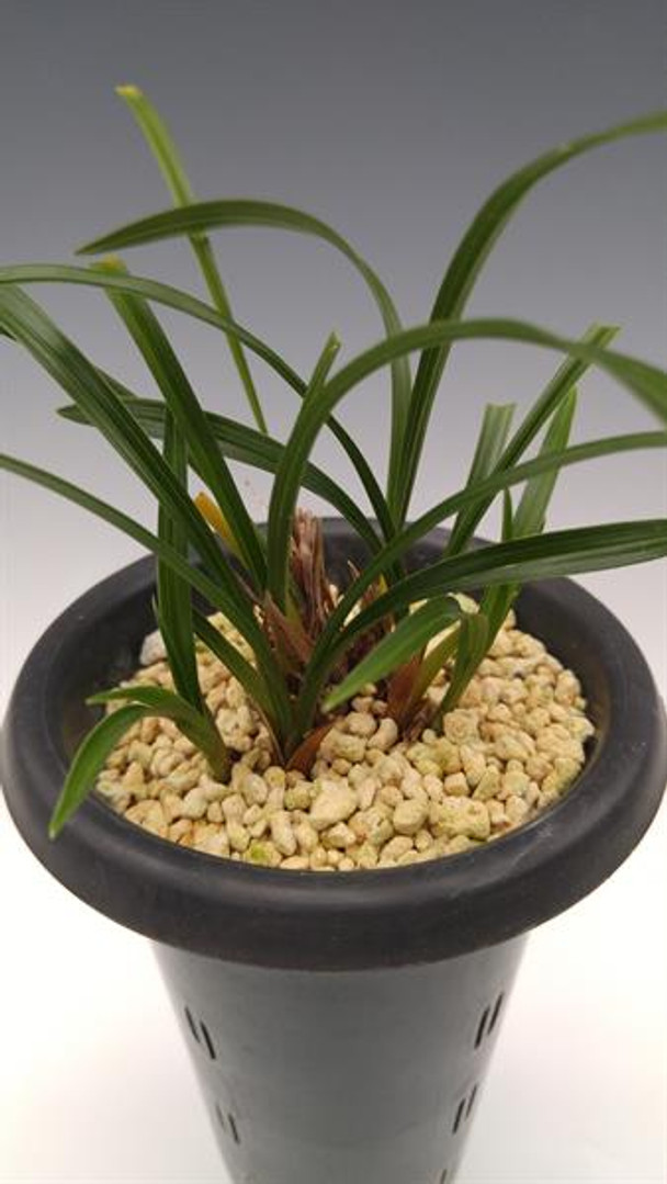 7651aeaa-803c-42e1-b5f5-28e0c0742c52