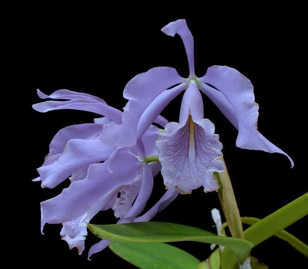 8c1c3843-93ec-4c7c-9314-46029dfef627