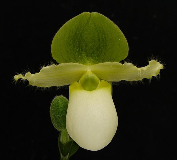 51cc2709-d728-4732-8208-e1a5ae14033b