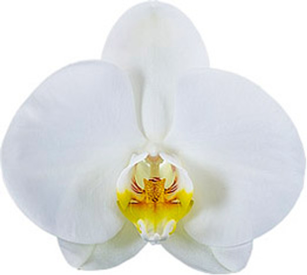 62212839-0843-4720-9199-8540e5eb40eb