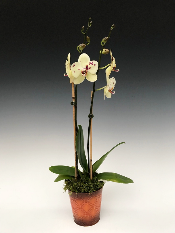 02836f63-cbe3-4454-8e17-e5f2ca2d059b